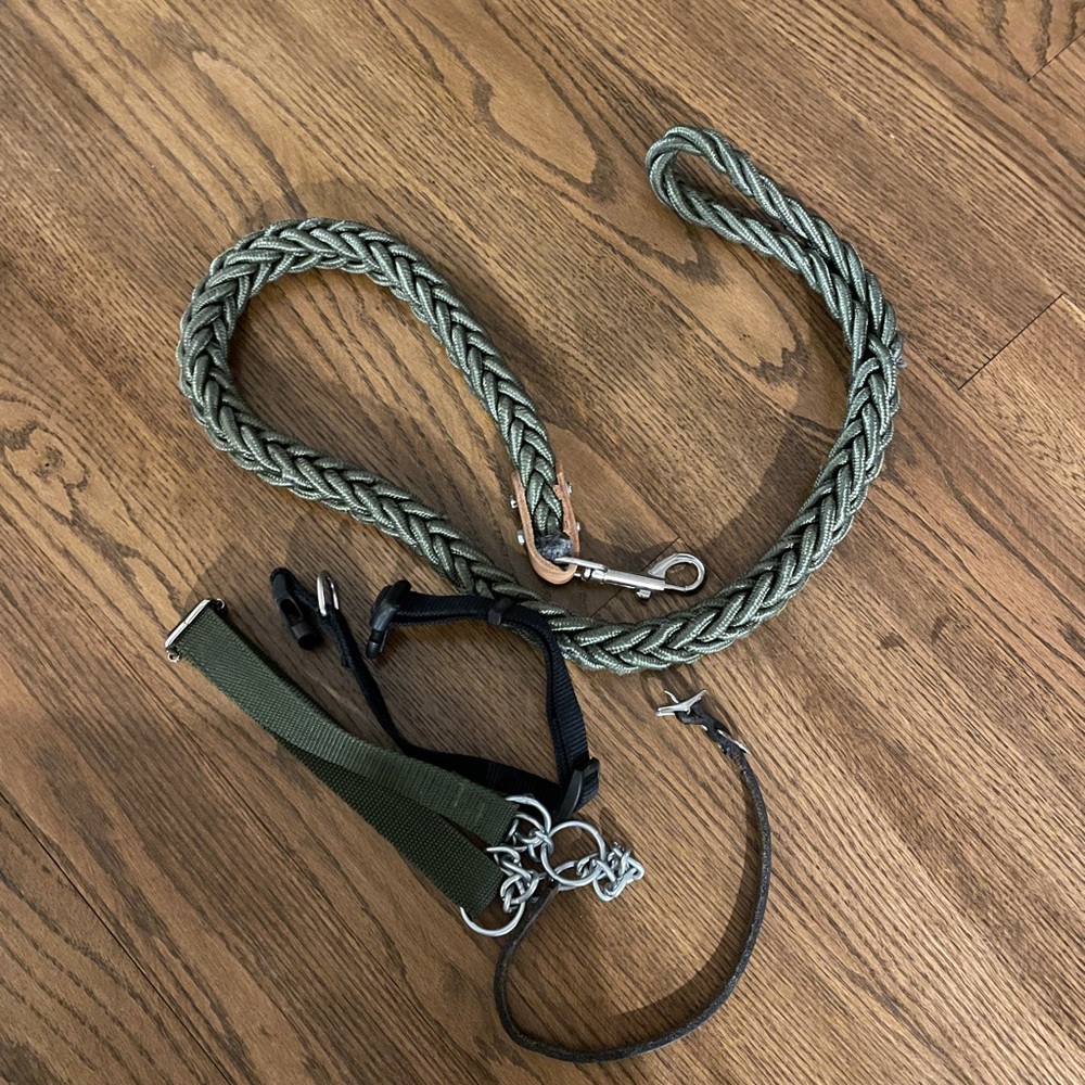Dog collar and leash green